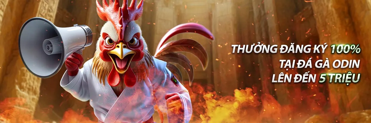 Chính Sách Bảo Mật Kwin – Bảo Vệ Dữ Liệu